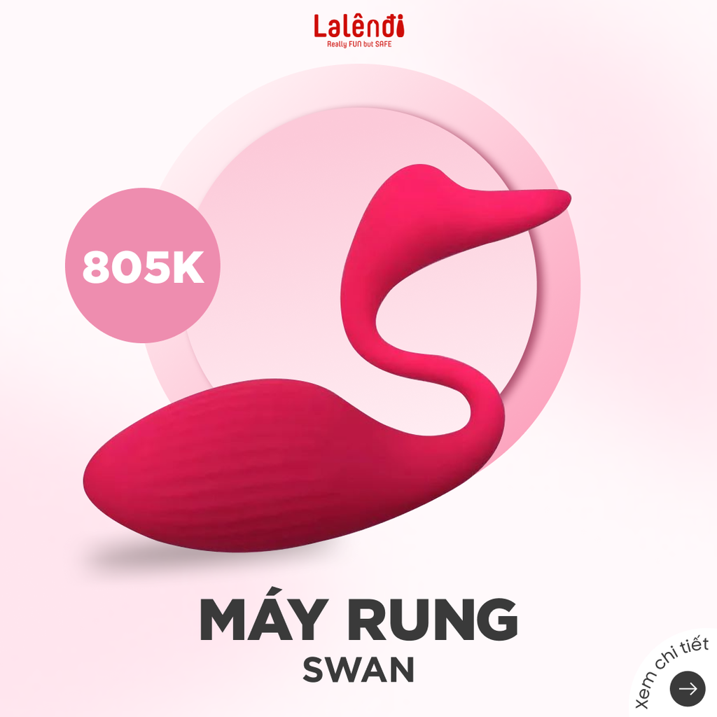[PVN282] Thiên Nga Swan